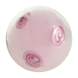 Bille rose Anglaise rose 22mm